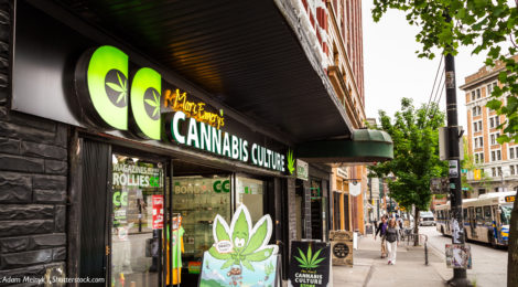 Legalization of Marijuana: A Lot of Potential Green for New Jersey Municipalities