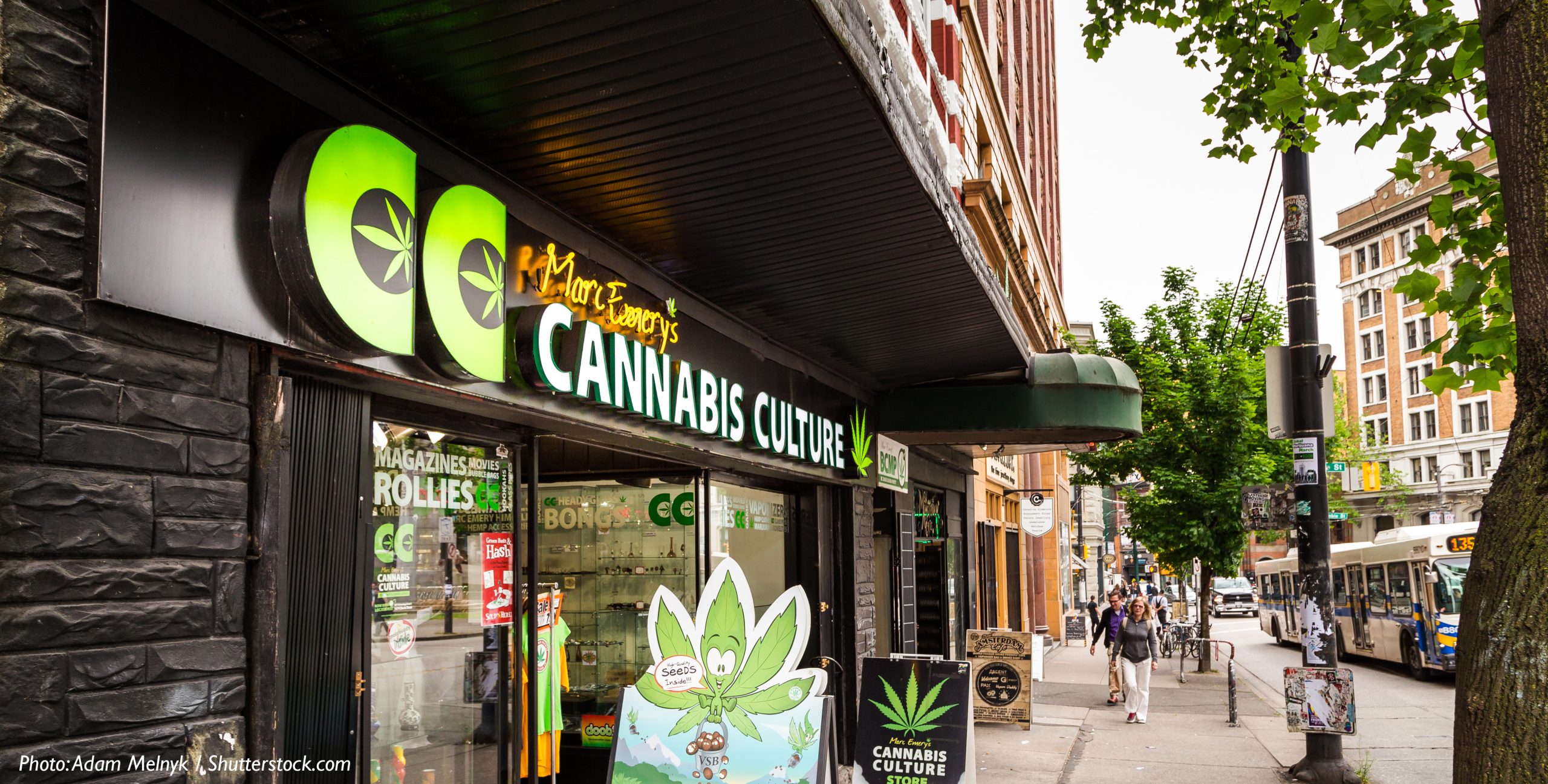 Canabis Culture