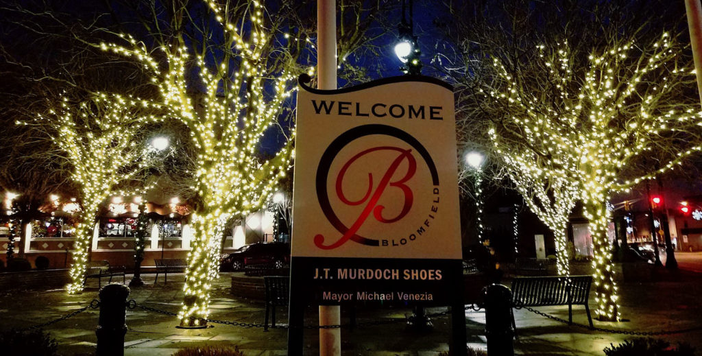 Web Cover_small Venner Park Holiday Lights