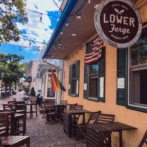 Craft Beer Lower Forge